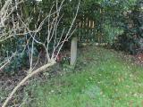 image of grave number 296095